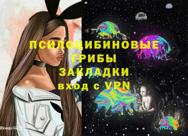 крисы Володарск