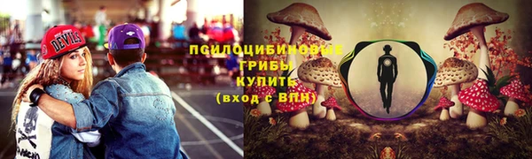 крисы Володарск