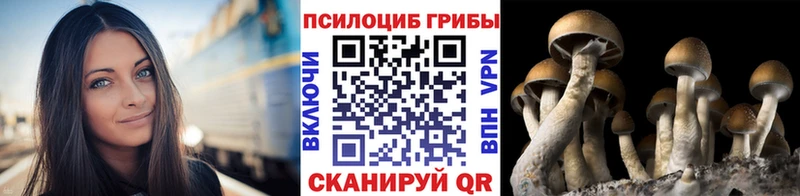 Псилоцибиновые грибы Magic Shrooms  Нижний Тагил 